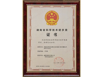 湖南省科学技术进步奖三等奖