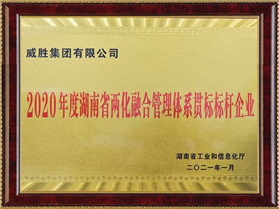 湖南省两地融合管理体系贯标标杆企业