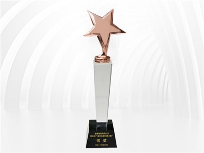 国家电网公司第五届“青年创新创意大赛”铜奖