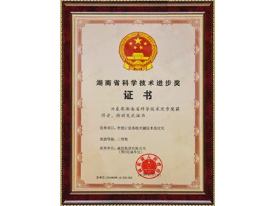 湖南省科学技术进步奖（智能计量系统关键技术及应用三等奖）